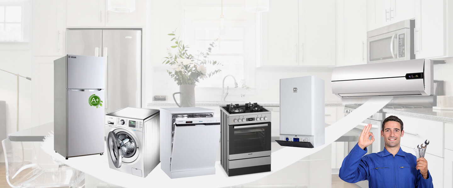 Bergama Smeg Servisi